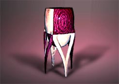 Pied Vessel (Pic)